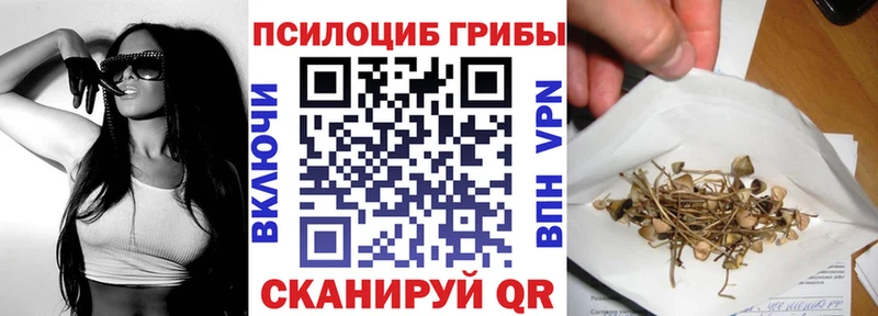 Галлюциногенные грибы Cubensis  где продают наркотики  Вяземский 